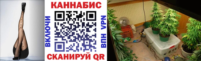где можно купить   Углич  Марихуана индика 